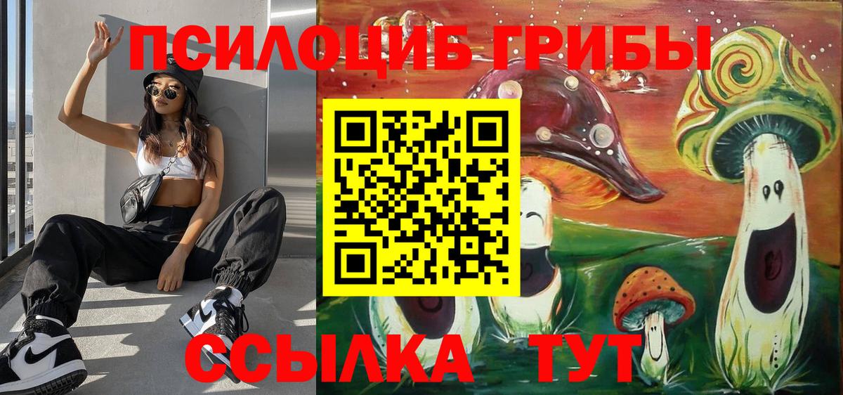 Новочебоксарск  дарнет шоп  Галлюциногенные грибы MAGIC MUSHROOMS  Вход с VPN  Галлюциногенные грибы Magic Shrooms 