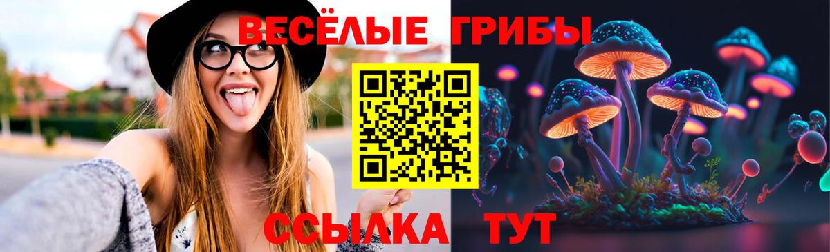 Псилоцибиновые грибы Magic Shrooms Новочебоксарск